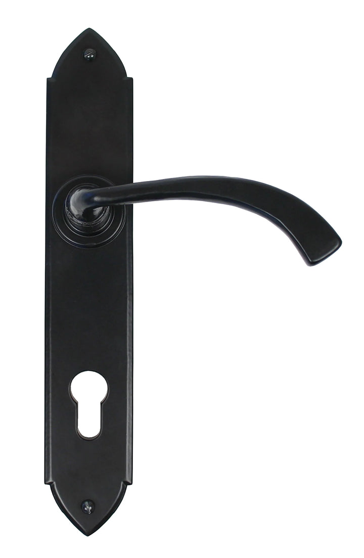 From the Anvil Gothic Curved Lever Espagnolette Set