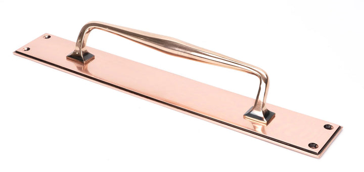 From the Anvil Art Deco Pull Handle on Backplate - Large - itfitz