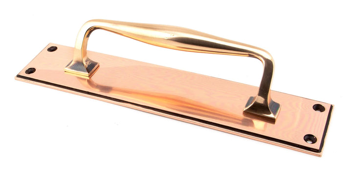 From the Anvil Art Deco Pull Handle on Backplate - Small - itfitz