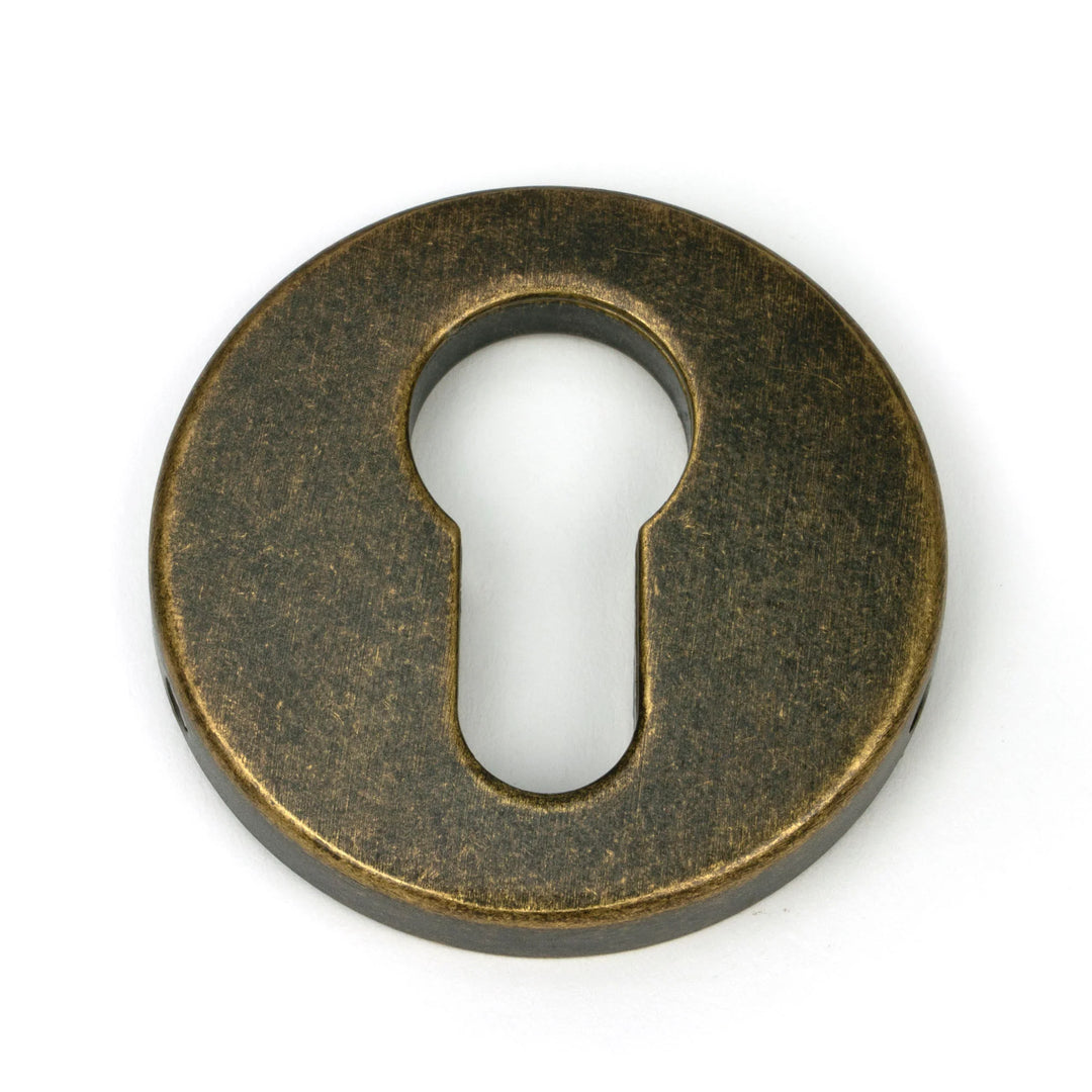 From the Anvil Regency Concealed Euro Escutcheon Burnished brass - itfitz