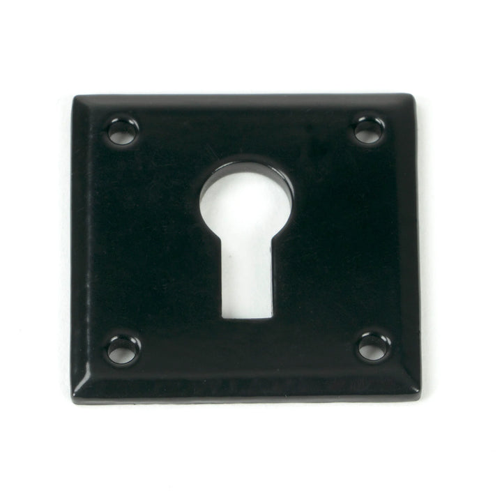 From the Anvil Avon Escutcheon