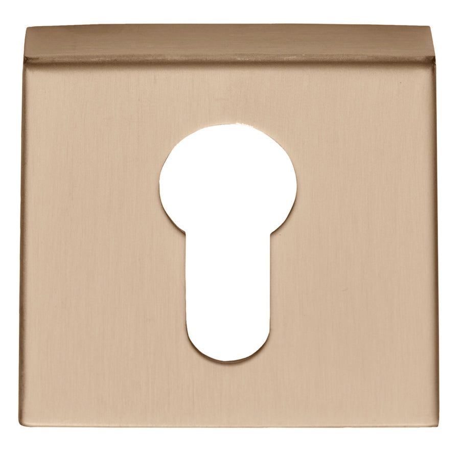 Basics BSQY53 europrofile cylinder escutcheons - itfitz
