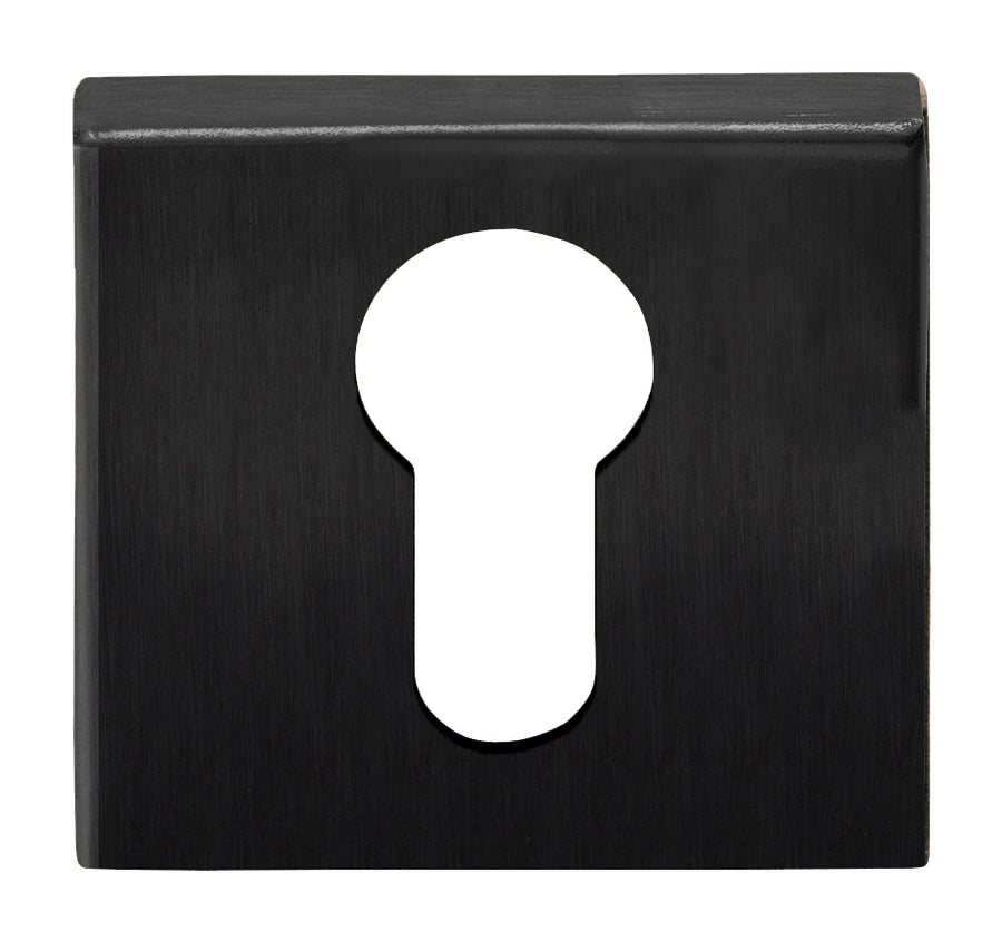 Basics BSQY53 europrofile cylinder escutcheons - itfitz