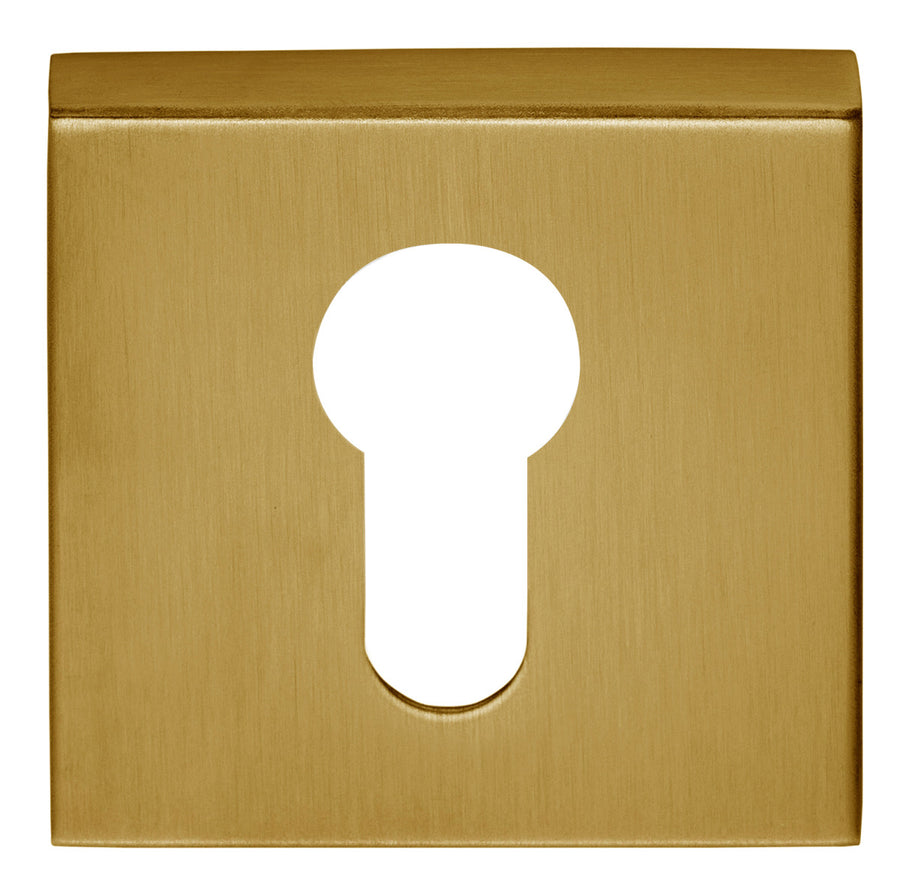 Basics BSQY53 europrofile cylinder escutcheons - itfitz