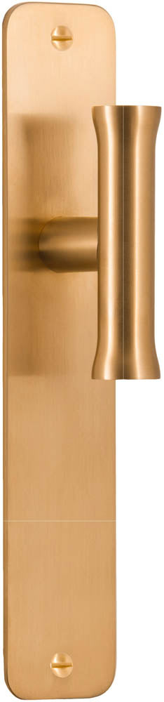 Nour EV102P211 Lever Handle on Plate