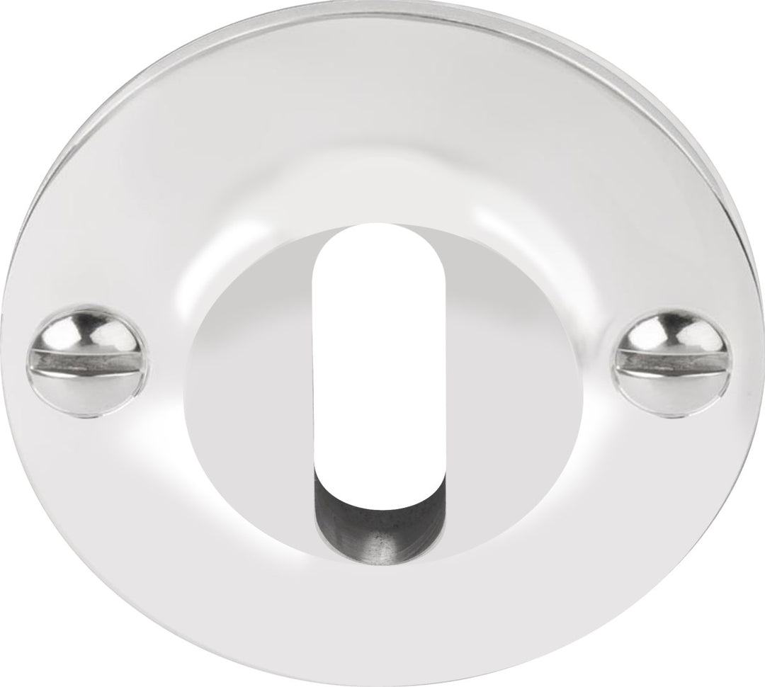 Ferrovia FVBN48 stainless steel lever key escutcheon