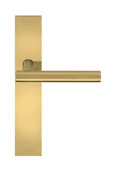 Basics LB7-19P236 lever handle on plate