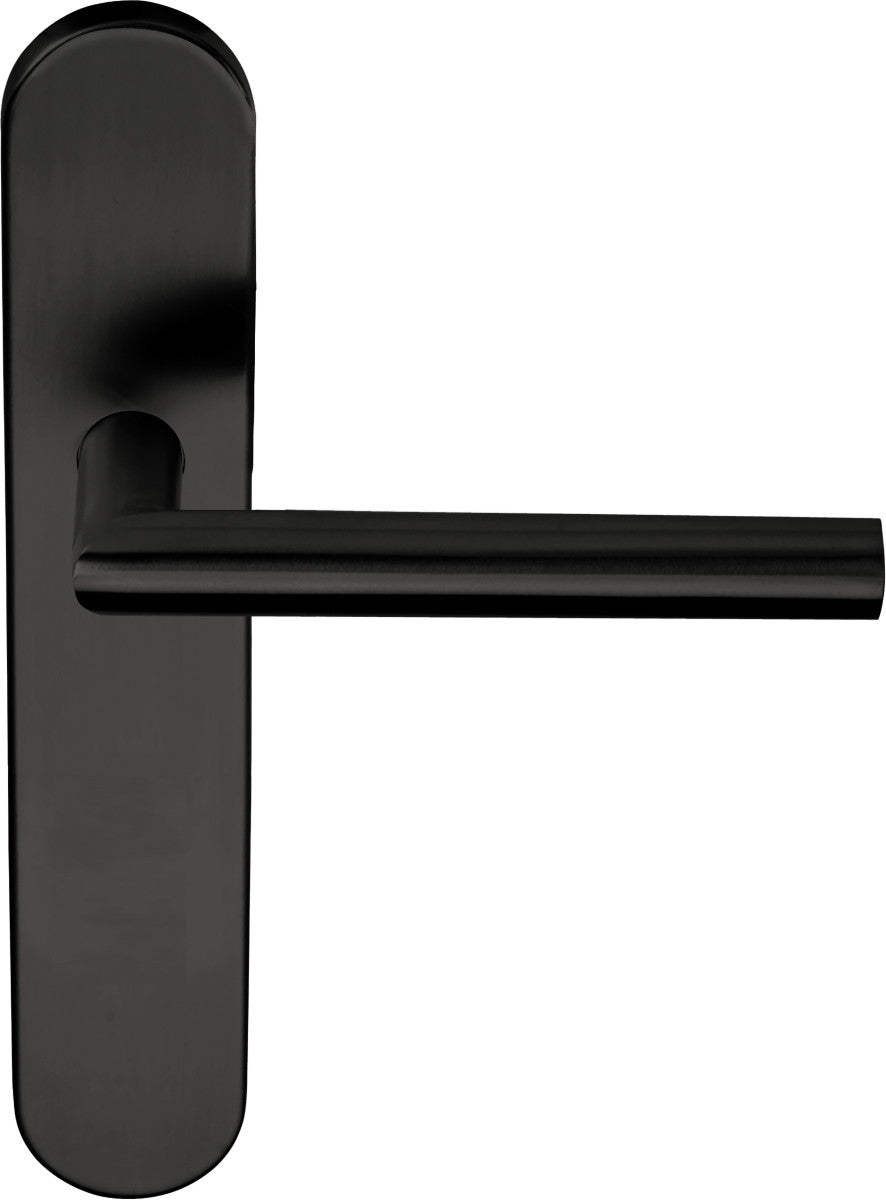 Basics LB2-19P13 Lever Handle on Plate Set