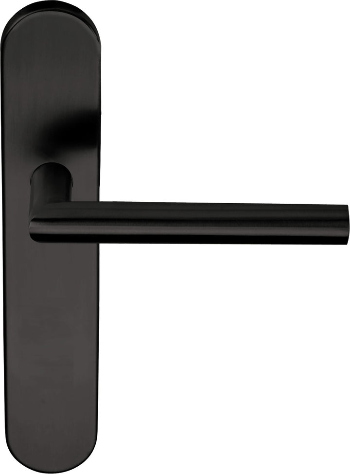 Basics LB2-19P13 Lever Handle on Plate Set