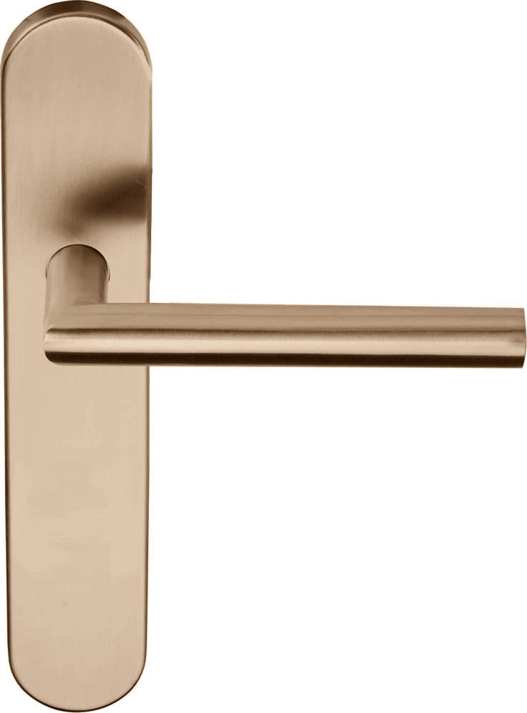 Basics LB2-19P13 Lever Handle on Plate Set - itfitz