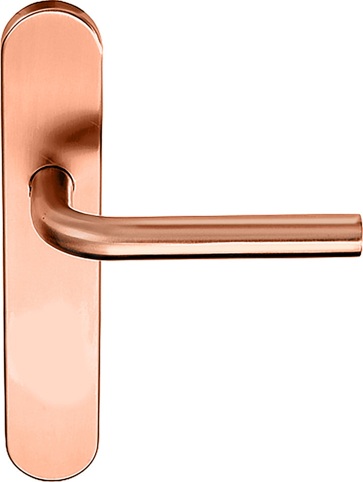 Basics LB2-19P13 Lever Handle on Plate Set