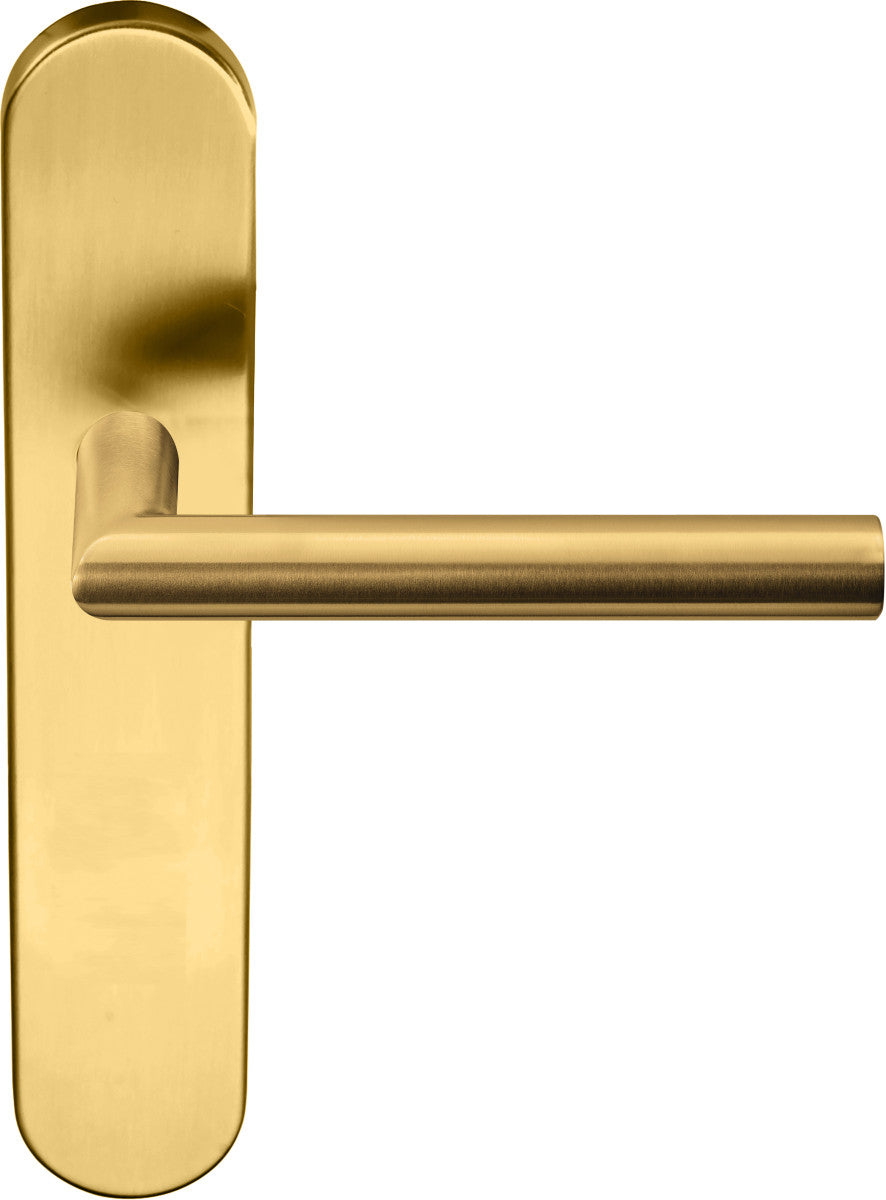 Basics LB2-19P13 Lever Handle on Plate Set