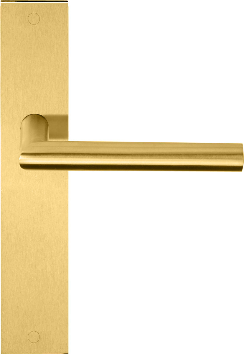 Basics LB2-19P236 Lever Handle on Plate