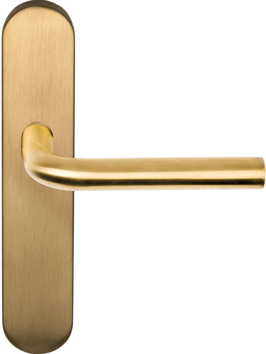 Basics LB3-19P13 lever handle on plate set - itfitz