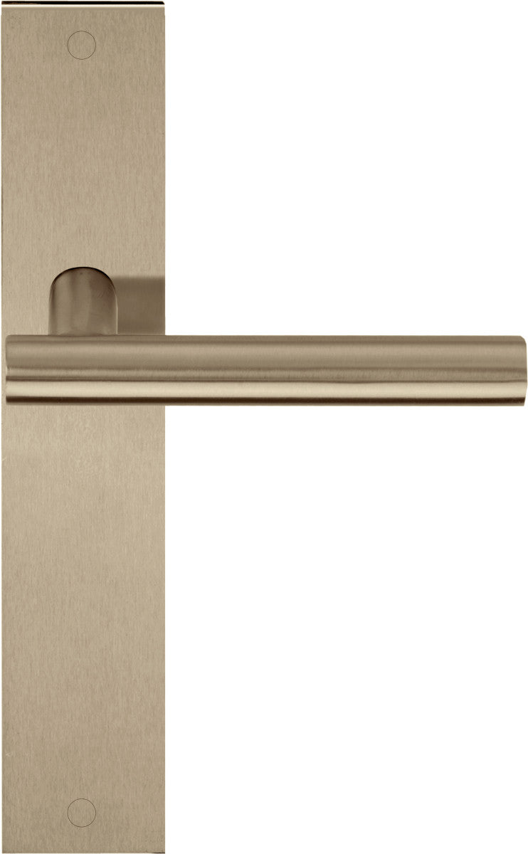 Basics LB7-19P236 lever handle on plate - itfitz