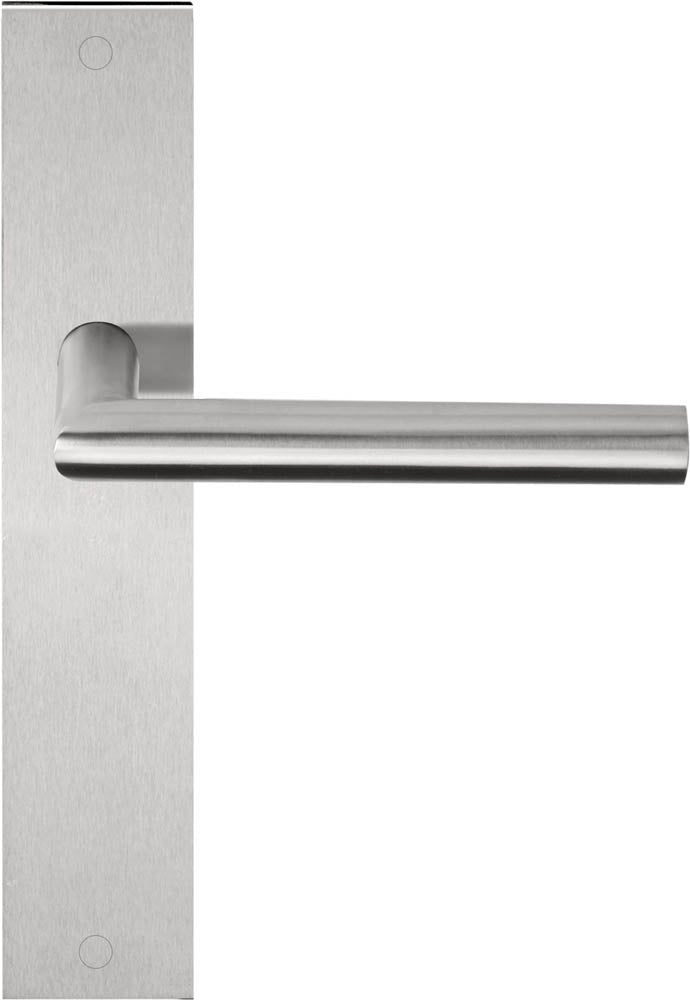Basics LB2-19P236 Lever Handle on Plate