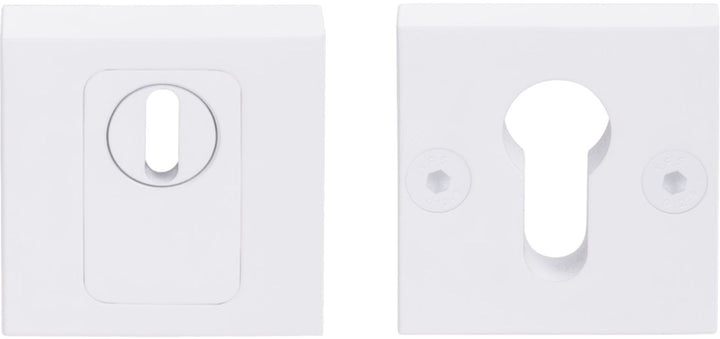 LSQVEIL-KT solid stainless steel security escutcheon with cylinder protection cover